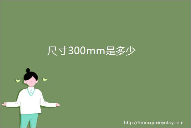 尺寸300mm是多少